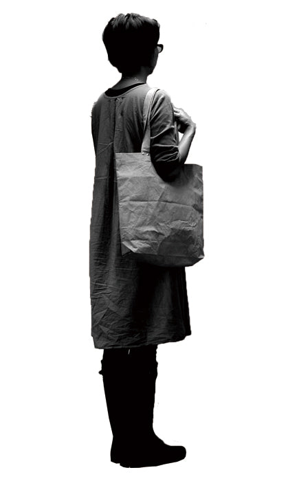 Folding type Bag /plane