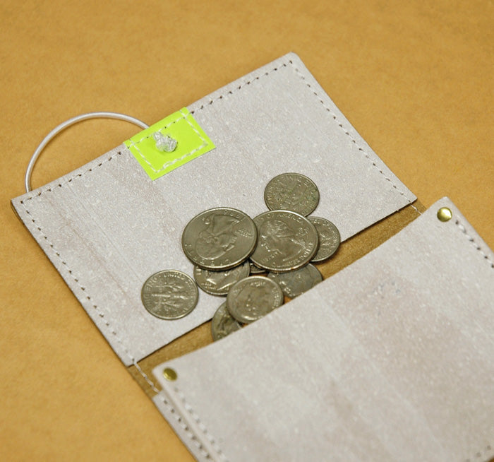 WALL coin case